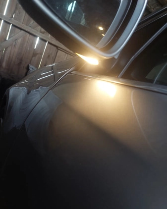 Volkswagen Golf cena 21500 przebieg: 260000, rok produkcji 2010 z Dobrodzień małe 46